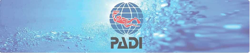 PADI courses are taught to all expedition volunteers before collecting survey data