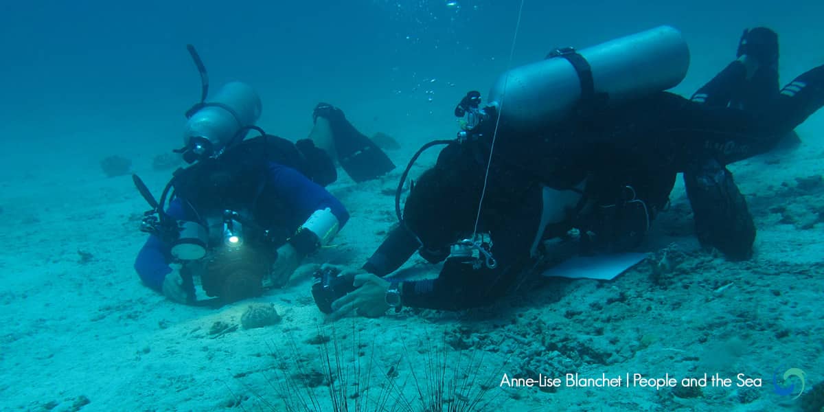 Two of our volunteers collecting data for our urchin research project